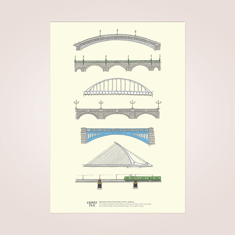 Dublin Bridges Print