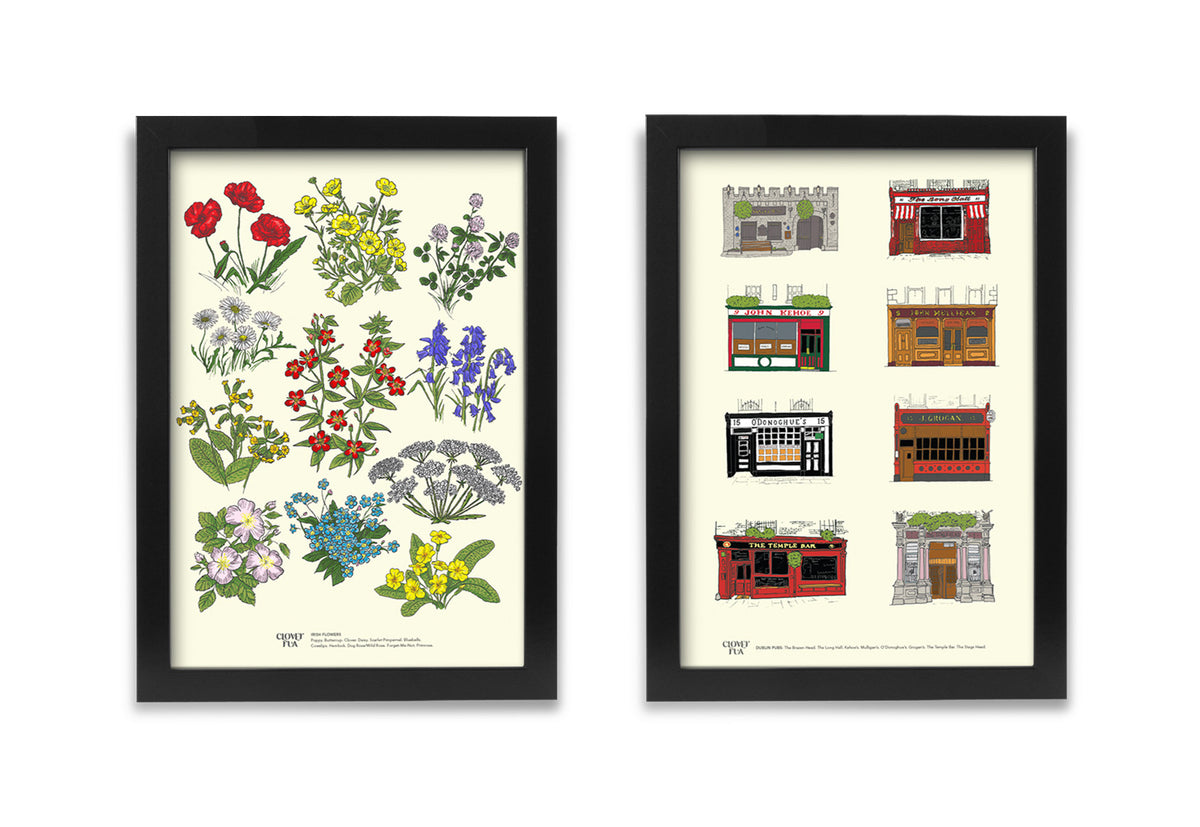 Amazing Value, Special Offer! Any TWO Prints for €22.95!