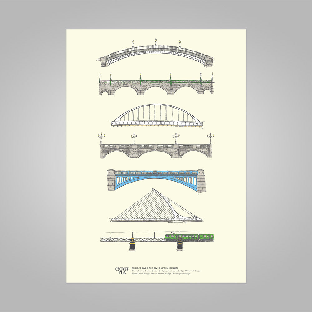 Dublin Bridges Print