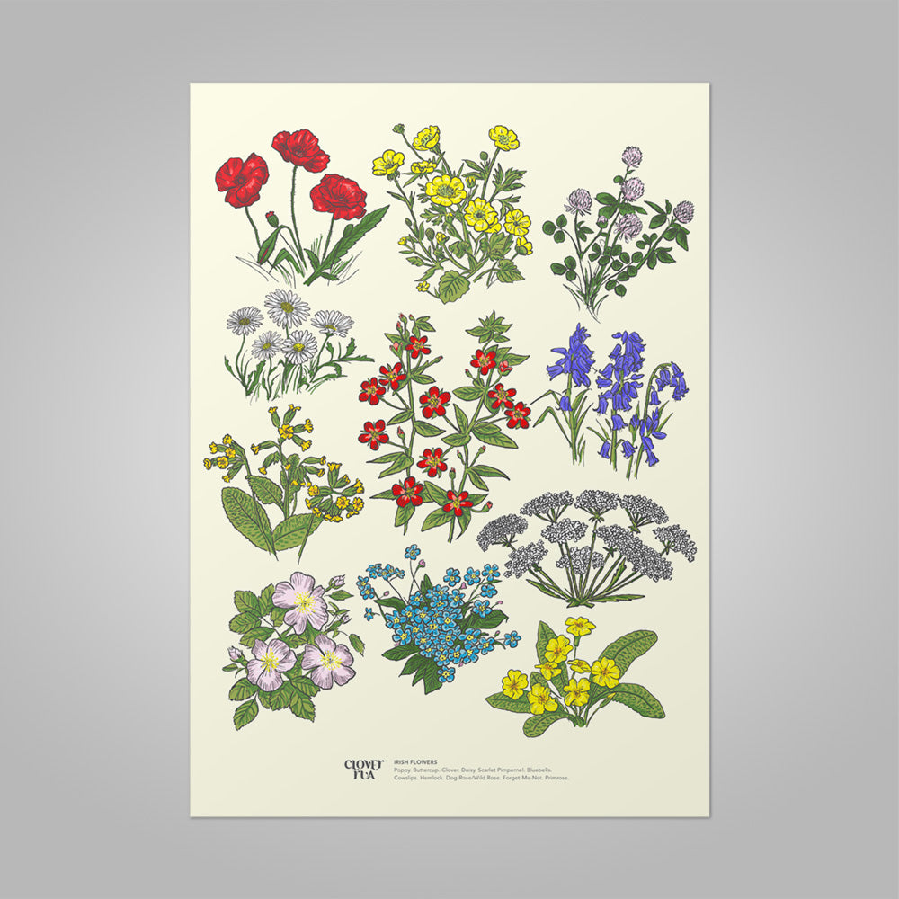 Irish Wildflower unframed print, A4 and A3; or A4 framed in black frame.