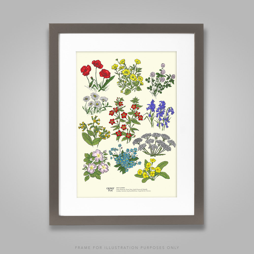 For illustration purposes only - Irish Wildflowers A4 print, framed with mount in 300mm x 400mm black frame.