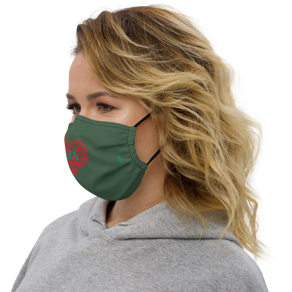 Face Mask GRÁ with shamrock heart in Forest Green and Ruby Red. Grá is the Irish word for love.